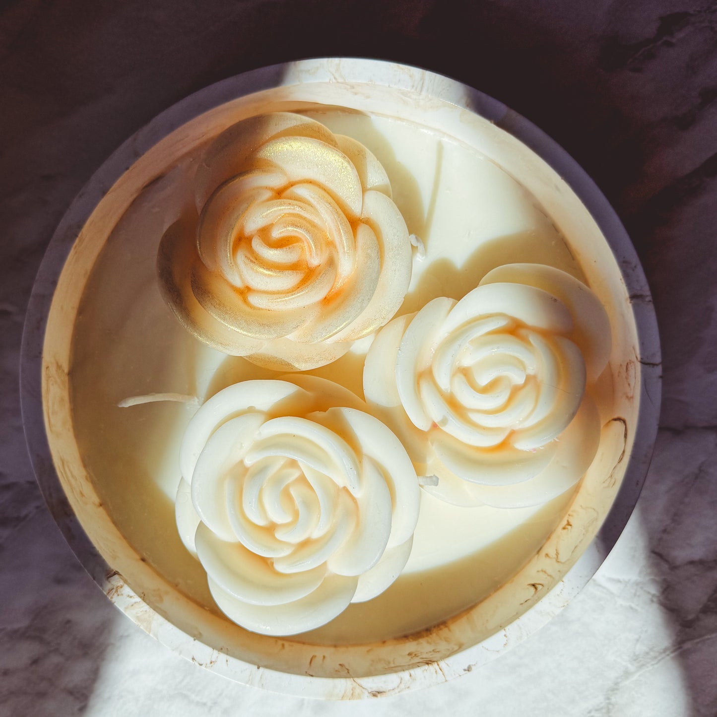 Rosa Reverie🌹
