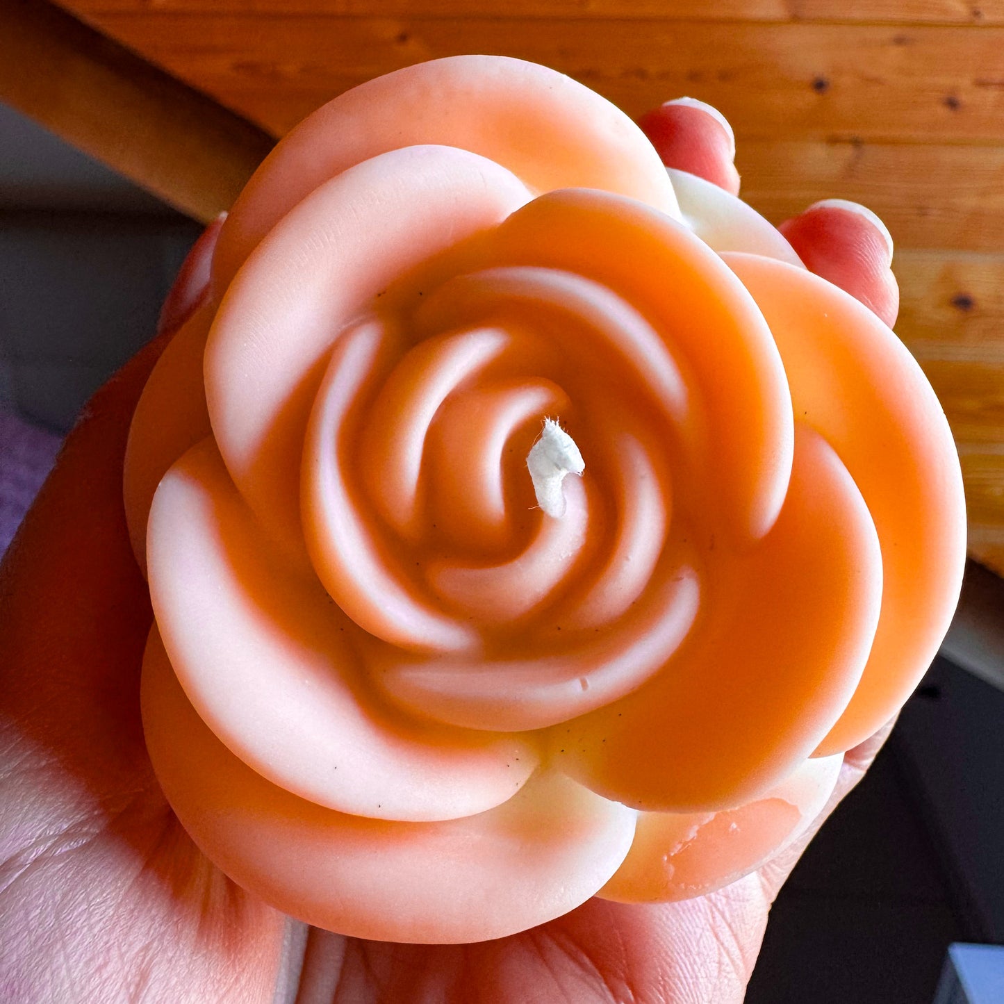 Englische Rose 🌹
