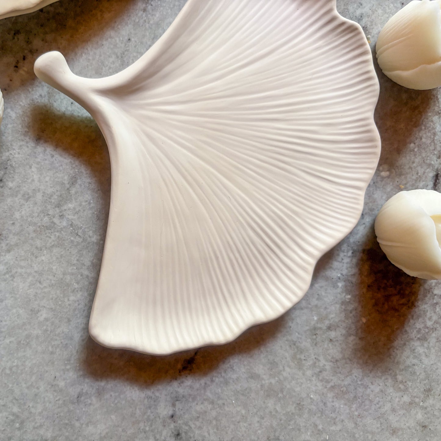 Ginkgo Glow ๐๐