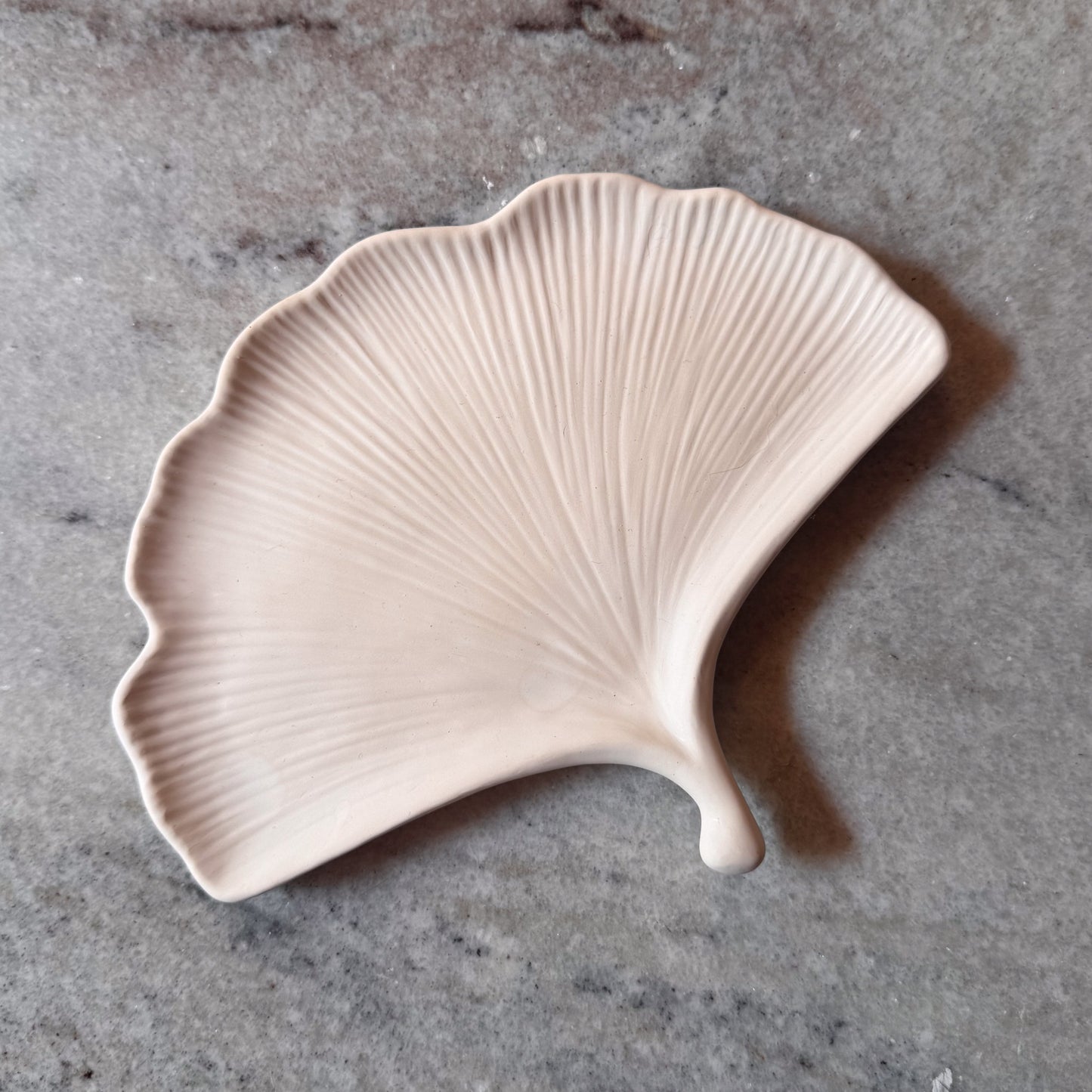 Ginkgo Glow ๐๐