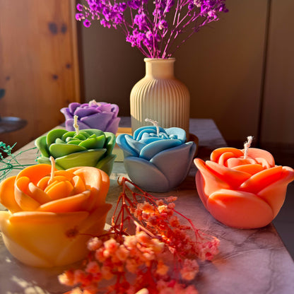 Ceramic Bloom 🌺🤍