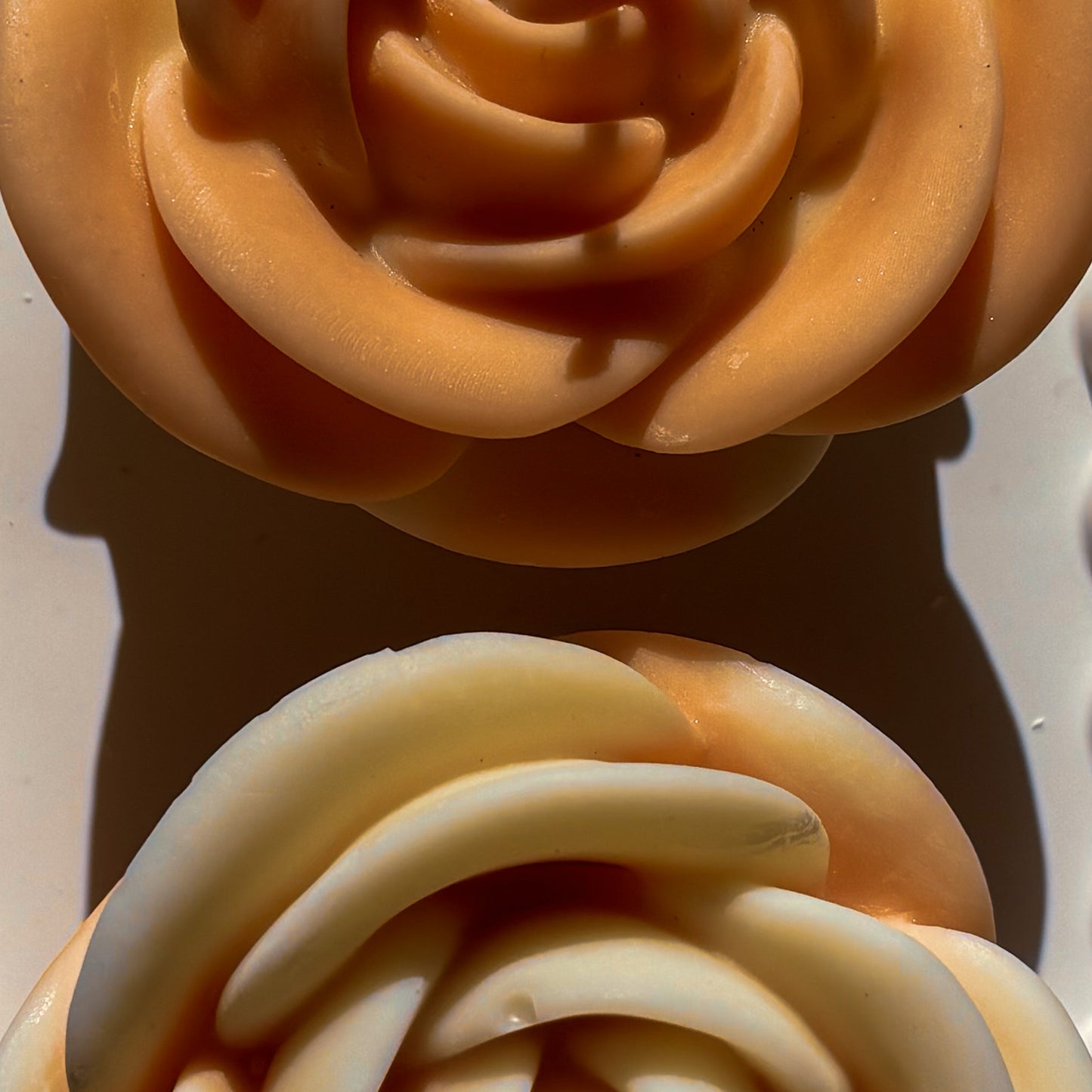 Blush Bloom Duo 🌸🌼